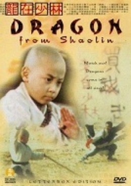 Rồng Tại Thiếu Lâm