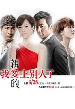 A Good Wife 2013