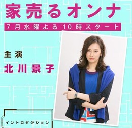 Woman Who Sells a House 2016