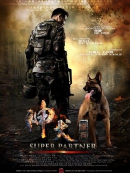 Super Partner 2015 2015
