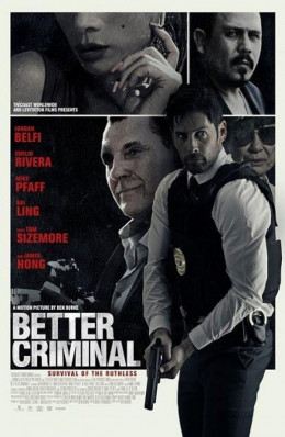 Điệp Vụ Chống Băng Đảng
