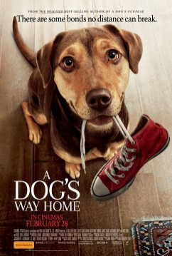 A Dog's Way Home 2019