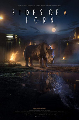 Sides of a Horn 2019