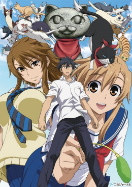 Nyan Koi! 2009