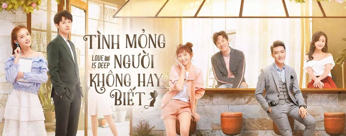Tình Mỏng Người Không Hay Biết Tình Mỏng Người Không Hay Biết