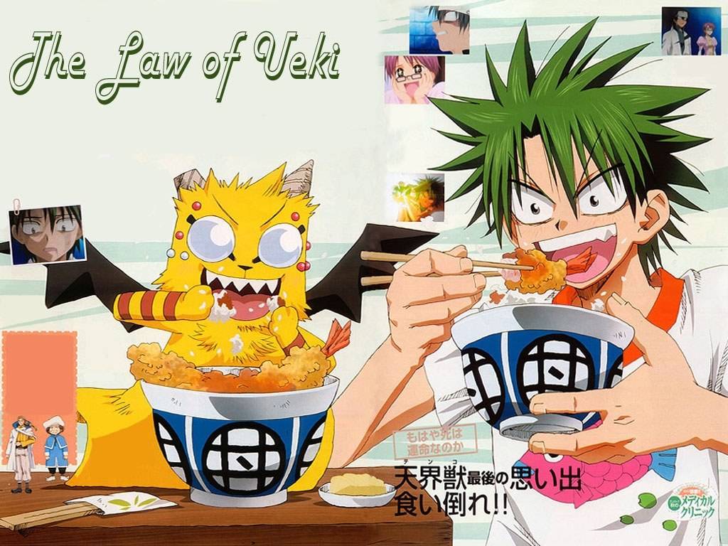 Luật Của Ueki Luật Của Ueki