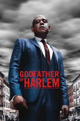 Godfather of Harlem Season 1 2019