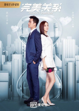Perfect Partner 2020
