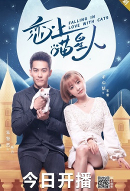 Falling in Love With Cats 2020