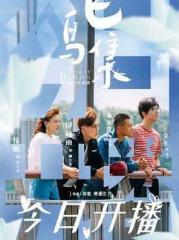 Stray Birds 2021