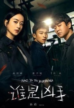 Light on Series: Who Is Murderer 2021
