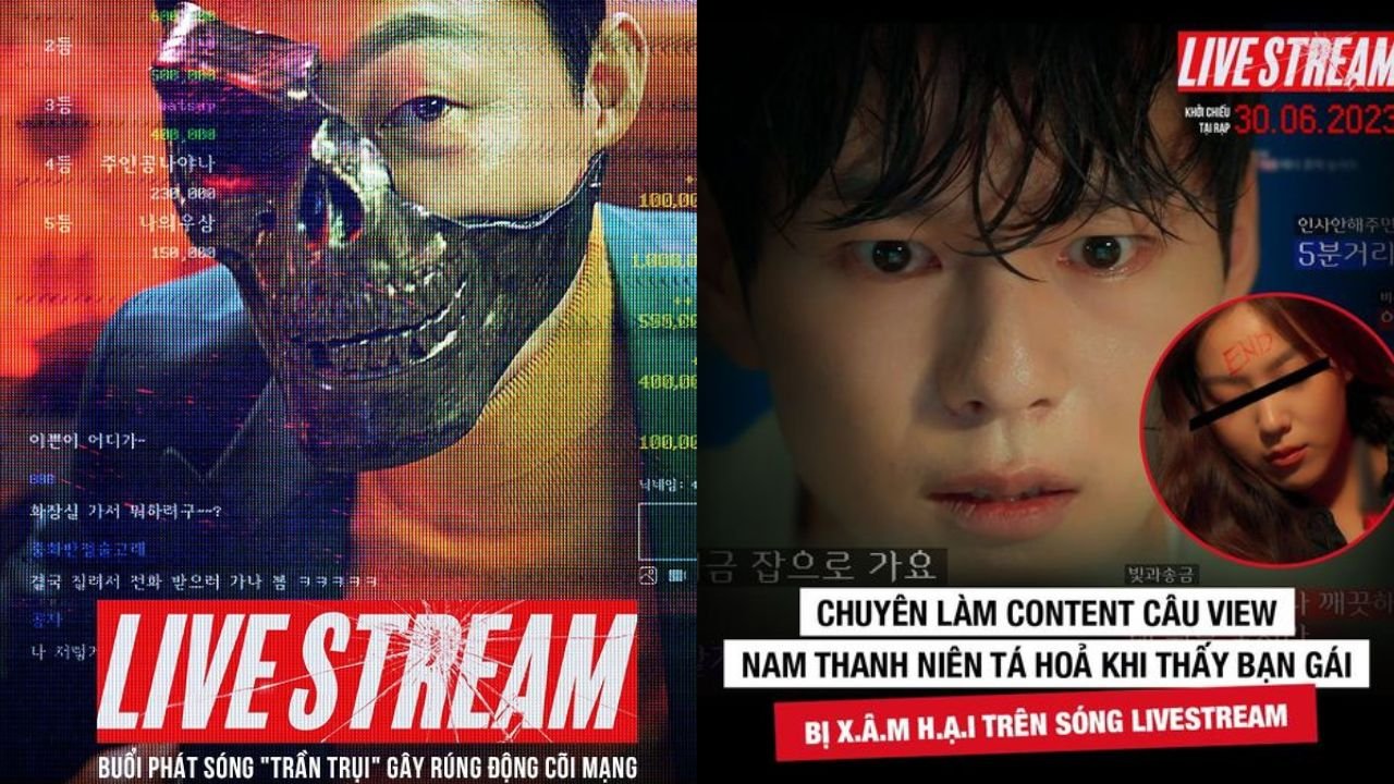Live Stream Live Stream