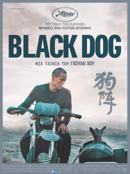 Black Dog 2024