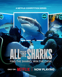 All the Sharks 2025