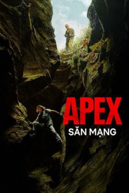 Săn Mạng