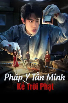 Pháp Y Tần Minh: Kẻ Trời Phạt